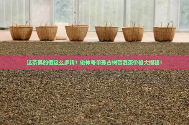俊仲号单珠古树普洱茶价格