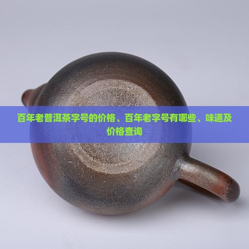 百年老普洱茶字号