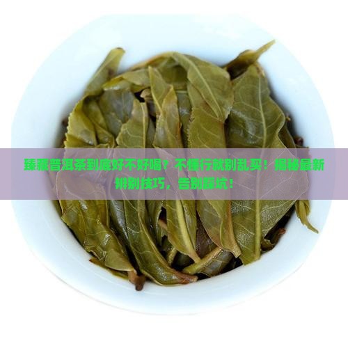 臻藏普洱茶好不好喝怎么辨别