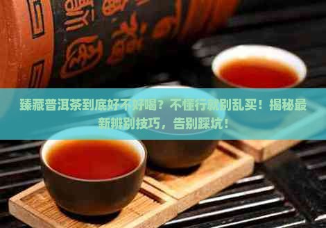 臻藏普洱茶好不好喝怎么辨别