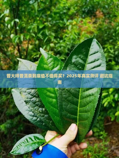 普洱茶品牌普大师