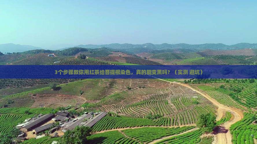 菩提根用红茶染色