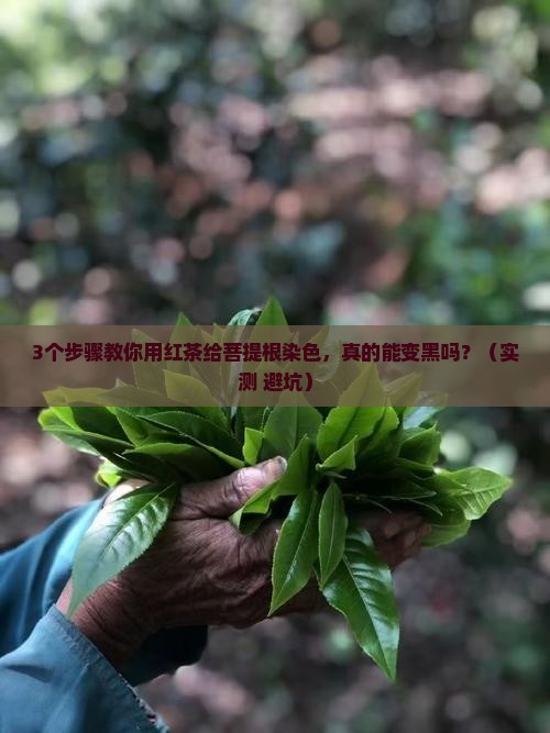 菩提根用红茶染色
