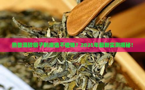 熟普洱碎银子贵吗