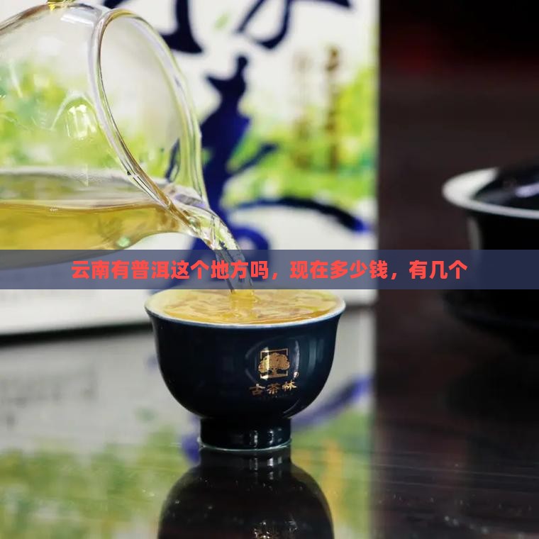 云南有普洱这个地方吗