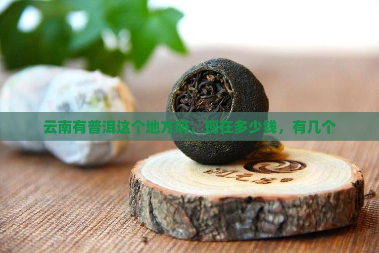 云南有普洱这个地方吗