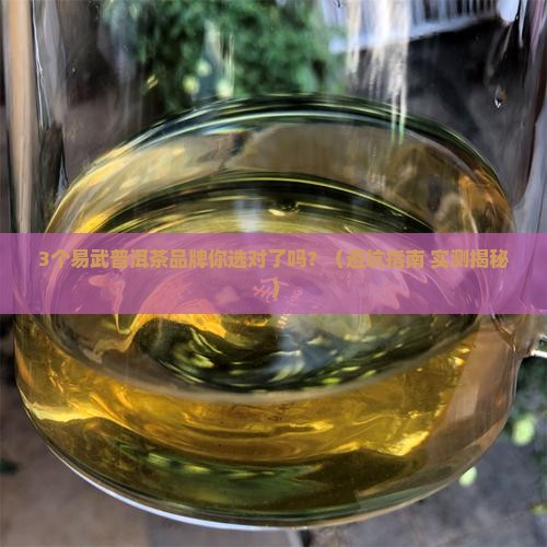 什么品牌的易武普洱茶推荐