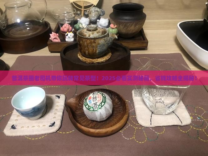普洱茶常见茶型