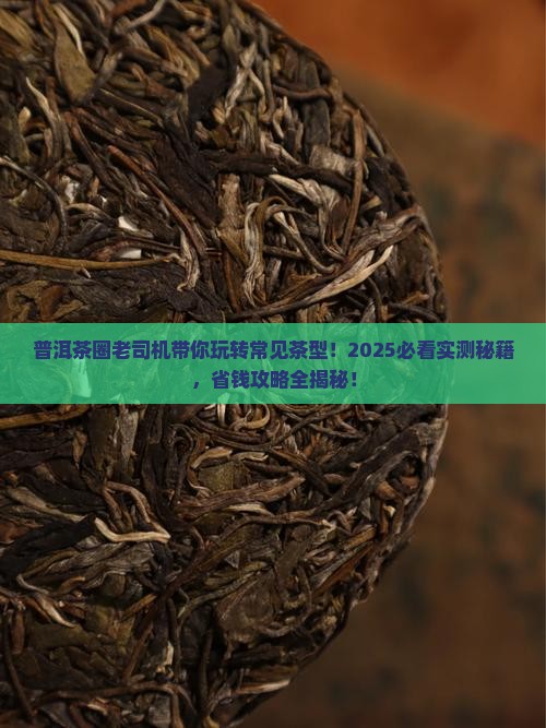 普洱茶常见茶型