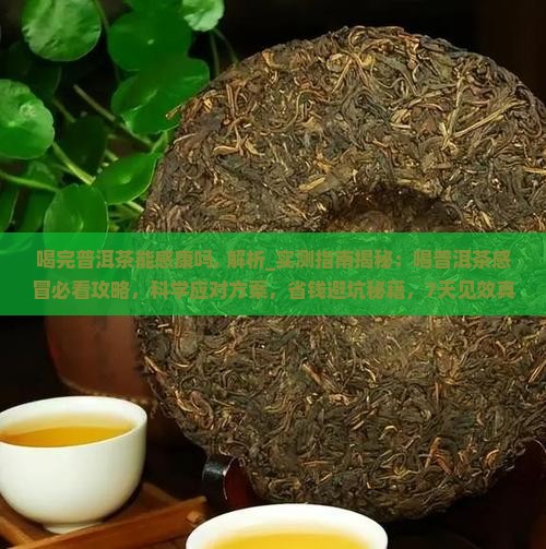 喝完普洱茶能感康吗