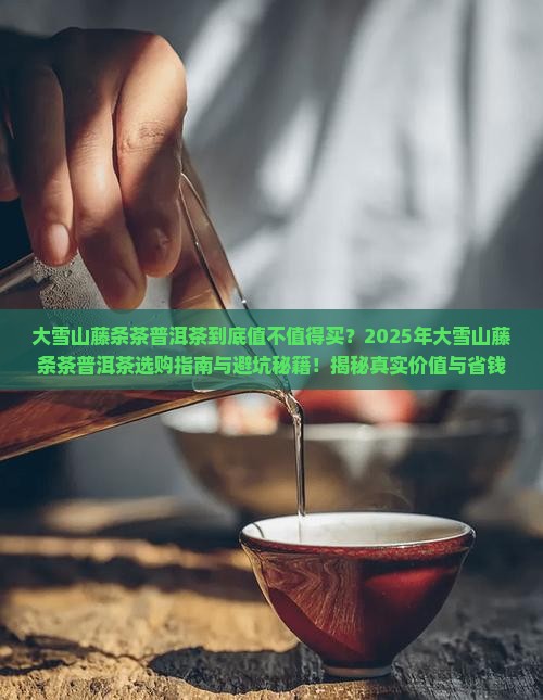 大雪山藤条茶普洱茶