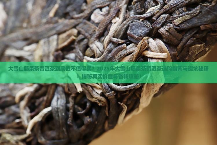 大雪山藤条茶普洱茶