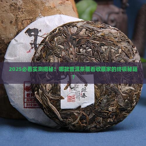 哪一种普洱茶最值得购买藏