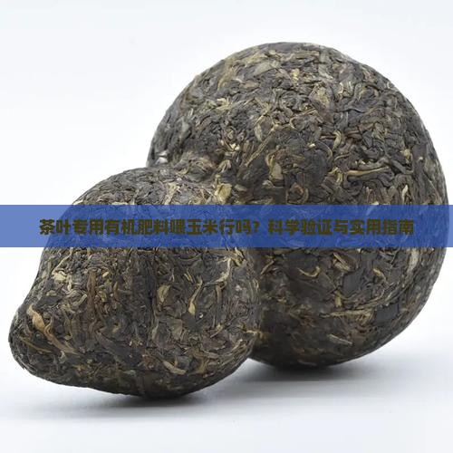 茶叶专用有机肥料喂玉米行吗 茶叶专用有机肥料喂玉米行吗