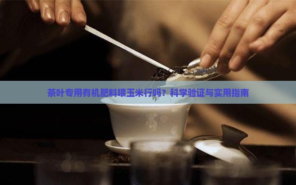 茶叶专用有机肥料喂玉米行吗 茶叶专用有机肥料喂玉米行吗