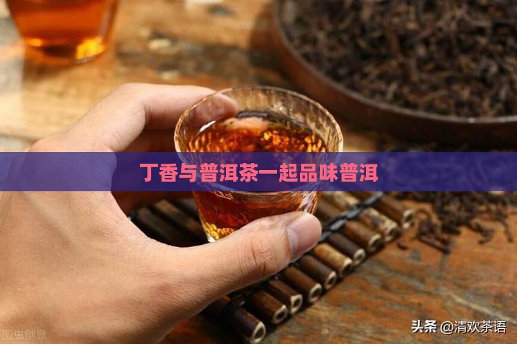 丁香叶加普洱茶