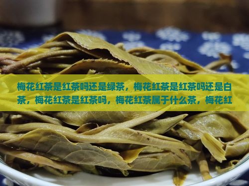 梅花红茶是红茶吗