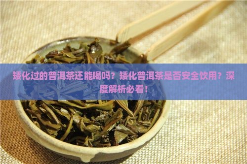 矮化过的普洱茶还能喝吗