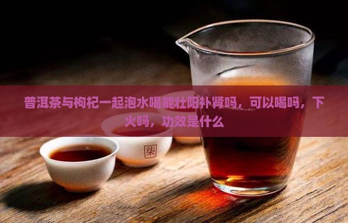 普洱茶与枸杞一起泡水