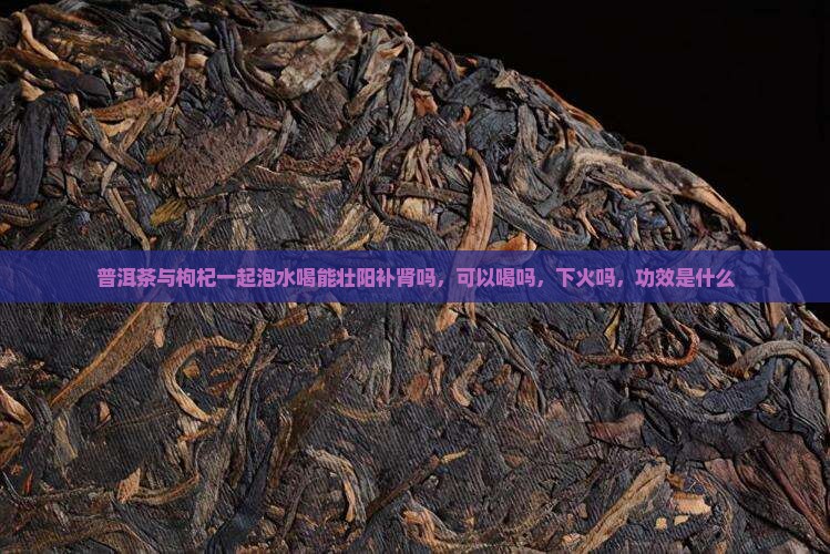 普洱茶与枸杞一起泡水