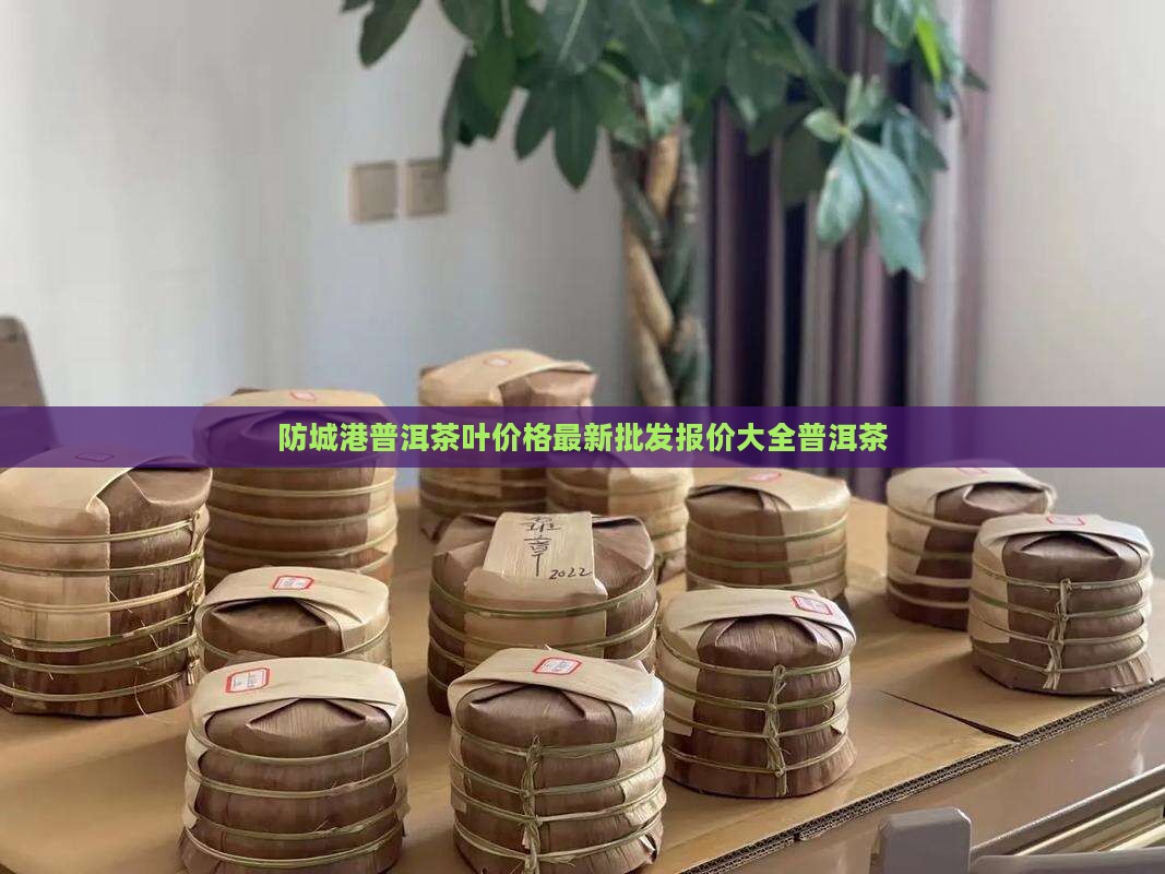 防城港熟普洱茶多少钱
