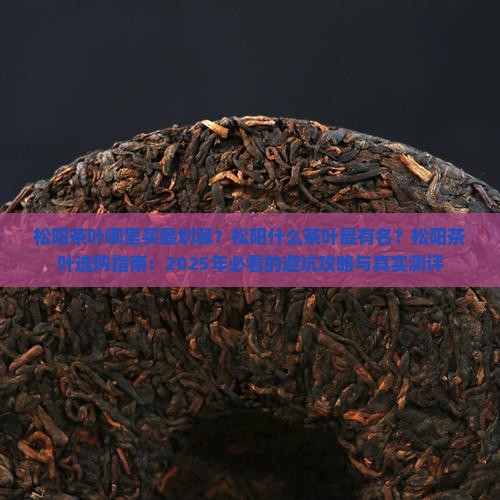 松阳什么茶叶最有名