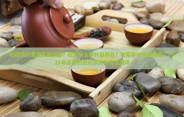 松阳什么茶叶最有名