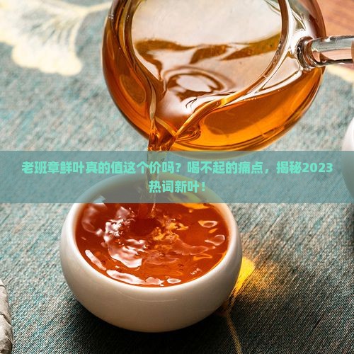 普洱老班章鲜叶