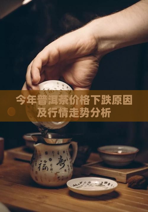 今年普洱茶价格
