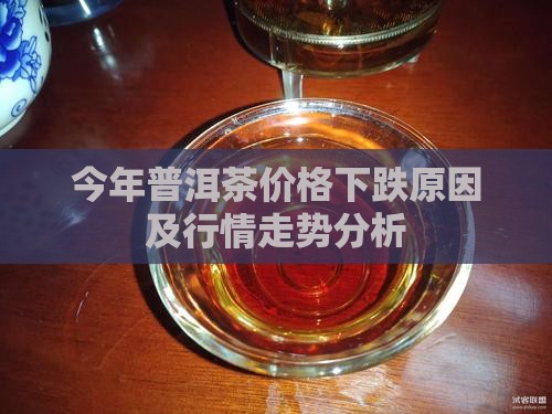 今年普洱茶价格