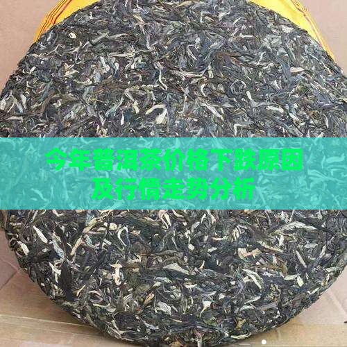 今年普洱茶价格