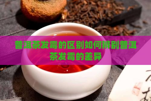 普洱茶发霉的区别