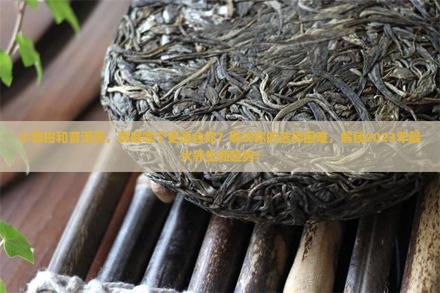 小青柑和普洱茶