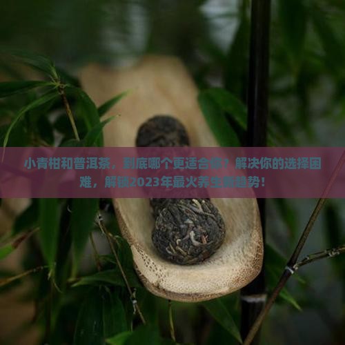 小青柑和普洱茶