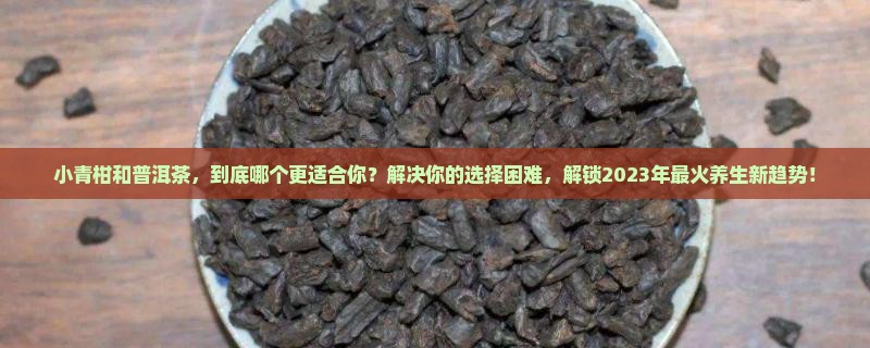 小青柑和普洱茶
