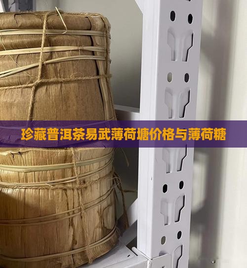 珍藏普洱茶易武薄荷塘