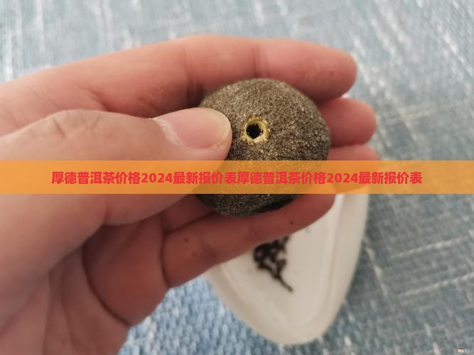 厚德普洱茶价格