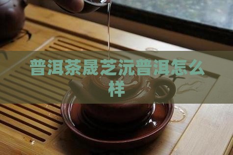 晟芝沅普洱茶好吗