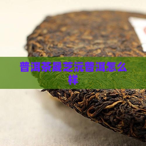 晟芝沅普洱茶好吗