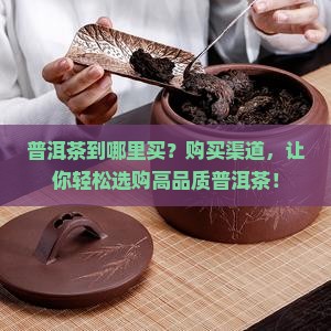 普洱茶到哪里买