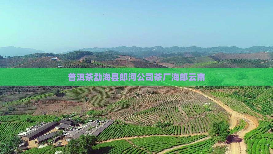 郎河普洱茶勐海