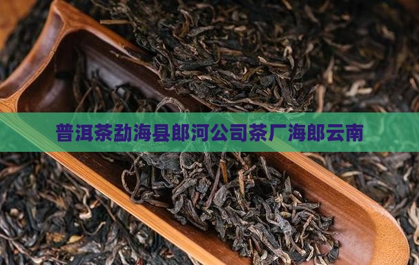 郎河普洱茶勐海