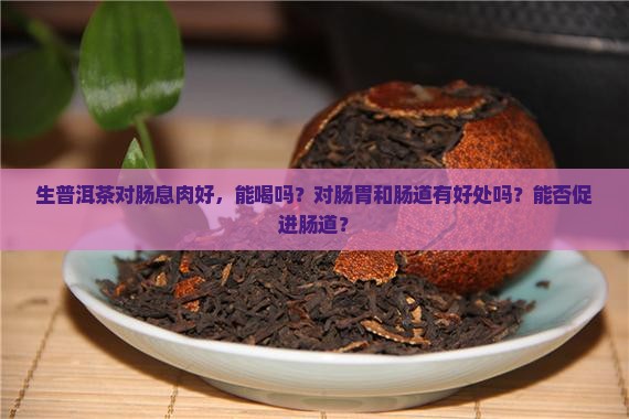 生普洱茶对肠息肉好