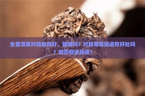 生普洱茶对肠息肉好