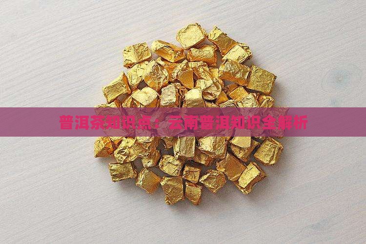 普洱茶专家知识点