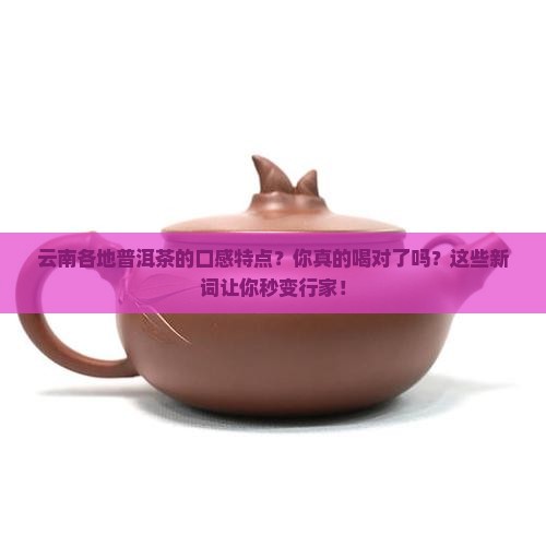 云南各地普洱茶的口感特点