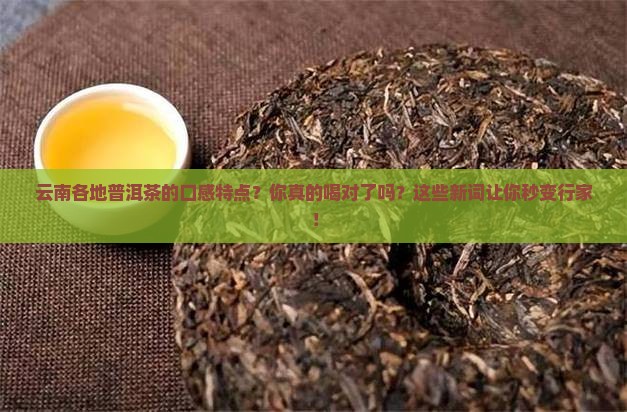 云南各地普洱茶的口感特点