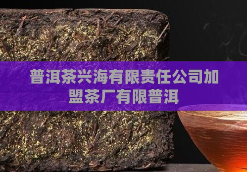 普洱茶高端品牌兴海