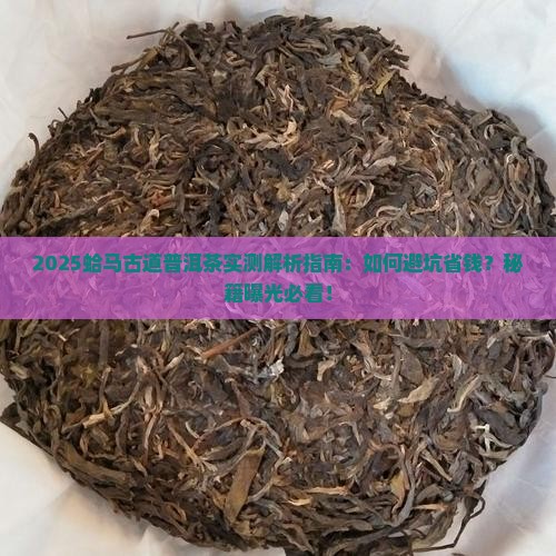 蛤马古道普洱茶小报