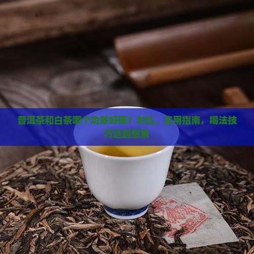 普洱茶和白茶哪个功效好喝